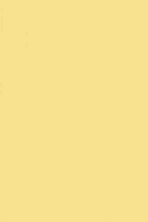 FARROW AND BALL LANCASTER YELLOW NO. 249 PAINT
